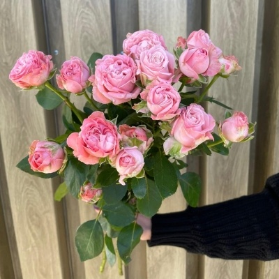 Букет из 5 кустовых роз Бомбастик 